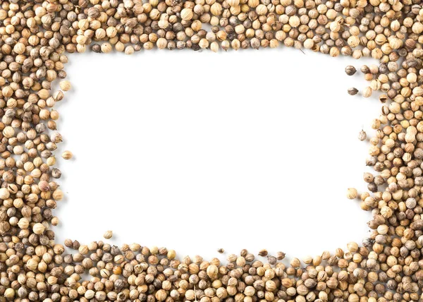 Raw Unprocessed Organic Coriander Cilantro Seeds Frame White Background — Stock Photo, Image