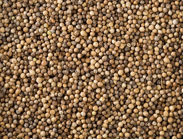 Frame Filling Background Raw Unprocessed Organic Coriander Cilantro Seeds — Stock Photo, Image