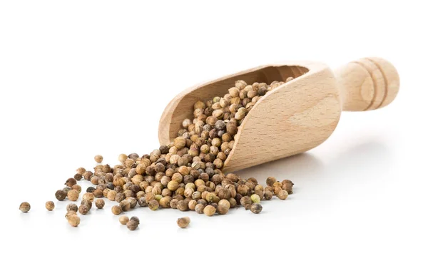 Raw Unprocessed Organic Coriander Cilantro Seeds Wooden Scoop White Background — Stock Photo, Image