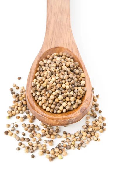 Raw Unprocessed Organic Coriander Cilantro Seeds Wooden Spoon White Background — Stock Photo, Image