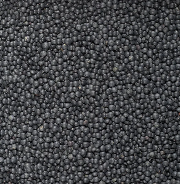 Heap Black Organic Beluga Lentils Frame Filling Background Texture — Stock Photo, Image