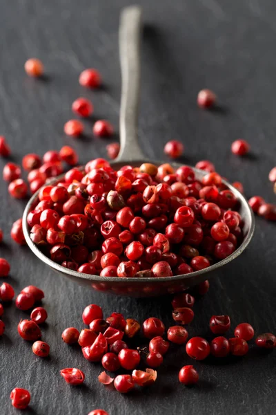 Pink or rose brazilian red peppercorns (schinus terebinthifolius — Stock Photo, Image