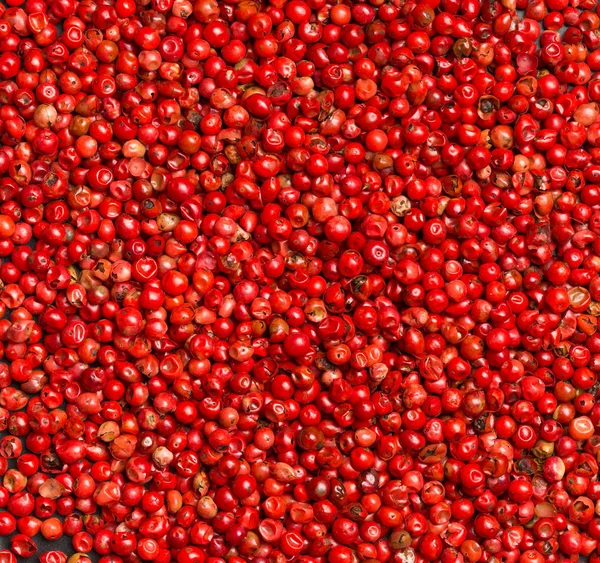 Pink or rose brazilian red peppercorns (schinus terebinthifolius — Stock Photo, Image