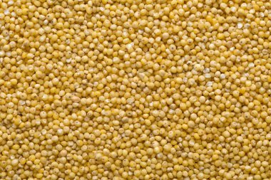 Altın darı, glutensiz tahıl tohumu, çerçeve dolgu backgroun