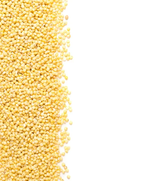 Golden millet, a gluten free grain seed, border over white — Stock Photo, Image