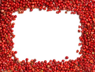 Pembe veya gül brezilya kırmızı biber (schinus terebinthifolius