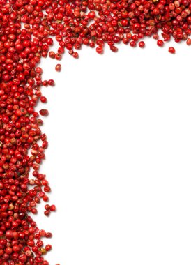 Pembe veya gül brezilya kırmızı biber (schinus terebinthifolius