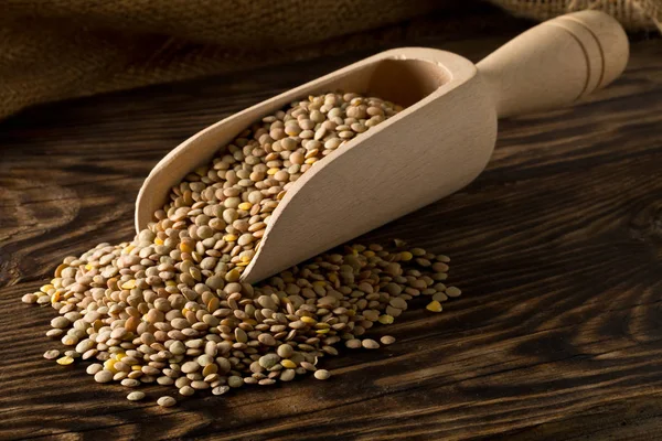 Raw, dry, uncooked brown lentil legumes in wooden scoop on wood — Stock Photo, Image