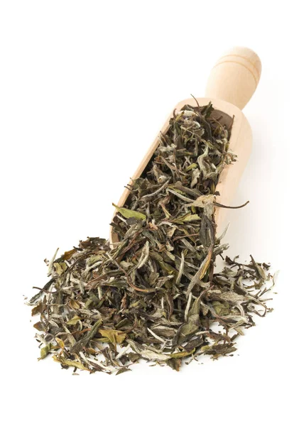 Hojas de té blanco secas y crudas en cucharada de madera sobre fondo blanco — Foto de Stock