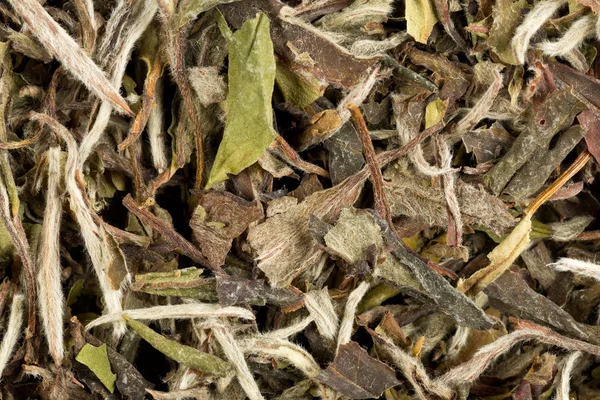 乾燥した、生の白茶葉フレーム fi のマクロテクスチャ背景 — ストック写真