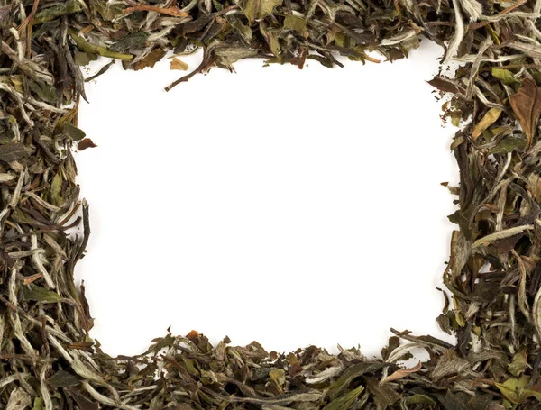 Frame texture background of dried, raw white tea leaves frame fi — Stock Photo, Image