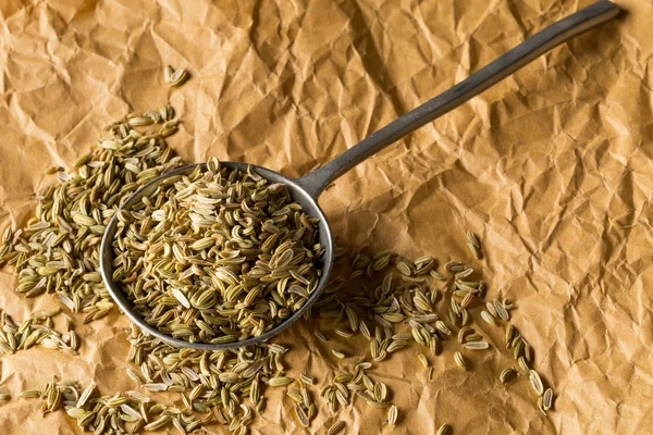 Dried fennel seeds in metal spoon on brown packing paper backgro — Stock Photo, Image
