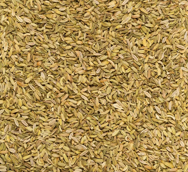 Sušené fenyklrové semeno rám plnící ploché, podvrhu zobrazení — Stock fotografie