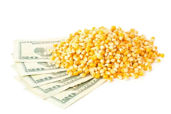 Heap of corn or maize kernels with dollar banknotes over white — Stock Photo, Image