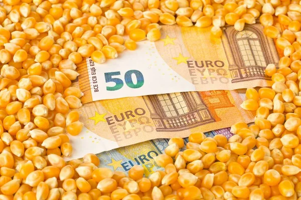 Notas de euro cobertas por grãos de milho ou de milho — Fotografia de Stock