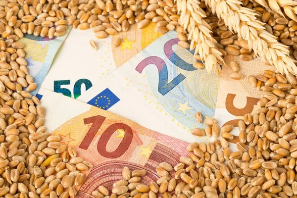 Euro banknotes covered with heap of wheat kernels with wheat ears — Stock Photo, Image