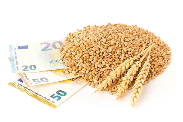 Pico de grãos de trigo com espigas de trigo nas notas de euro — Fotografia de Stock