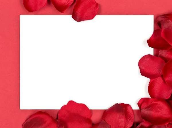 Rincón de pétalos de tela roja rosa con tarjeta blanca sobre fondo rojo —  Fotos de Stock