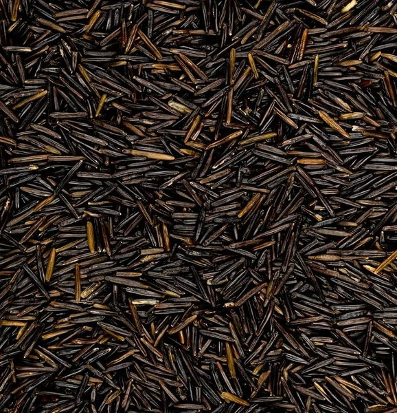 Makro Zblízka Nevařené Syrové Černé Divoké Rýže Zrna Textury Ploché — Stock fotografie