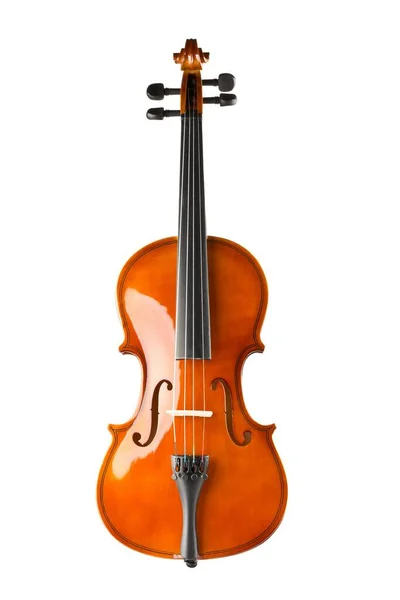 Brown wooden fiddle or violin, classic musical instrument, isolated on white background, selective focus