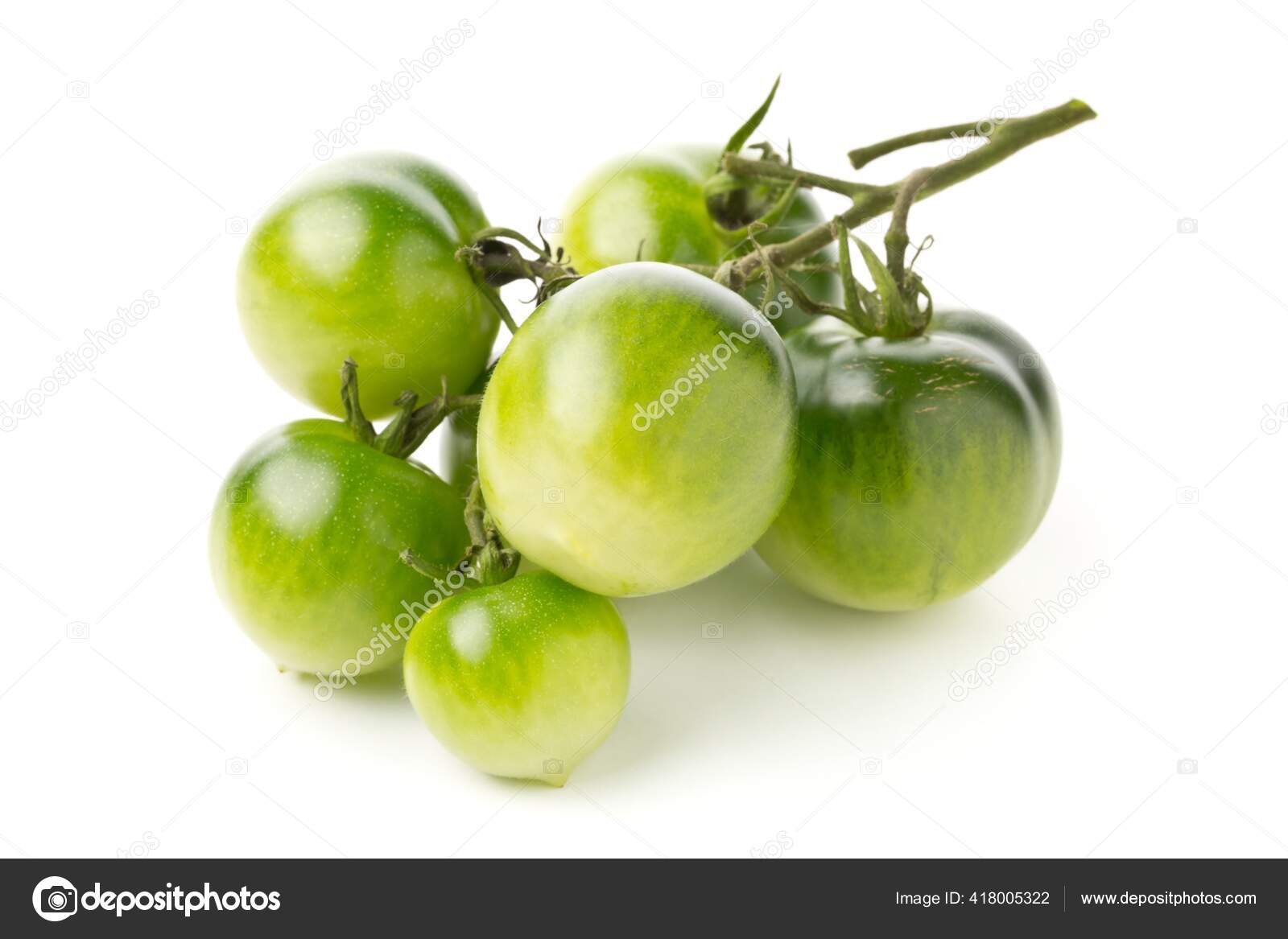 Bundel Unreifer Gruner Tomaten Vor Weissem Hintergrund Unreife Tomaten Konnen Stockfotografie Lizenzfreie Fotos C Shawn Hempel 418005322 Depositphotos