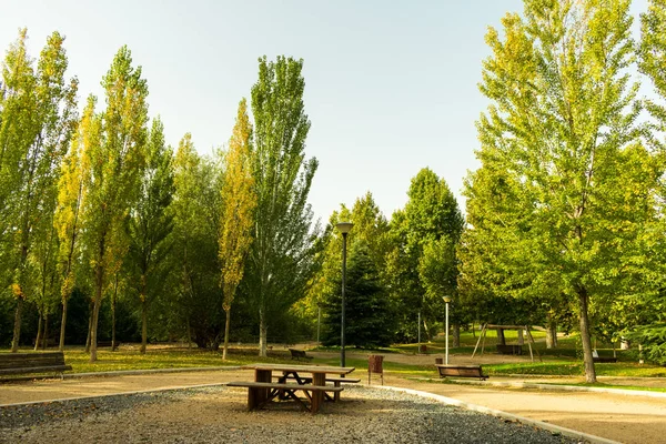 Banc Vide Dans Parc Côté Rivière — Photo