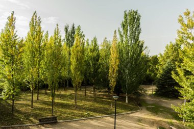 ağaçlar ve banklar sonbaharda nehir kıyısı boyunca Park