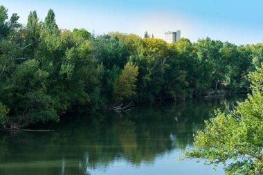Onun kıyısında bol bitki örtüsü ile hızlı bir nehir