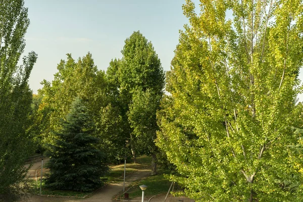 Park Drzewami Ławkami Wzdłuż Brzegu Rzeki Jesieni — Zdjęcie stockowe