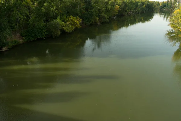 Une Rivière Rapide Avec Une Végétation Abondante Sur Ses Rives — Photo