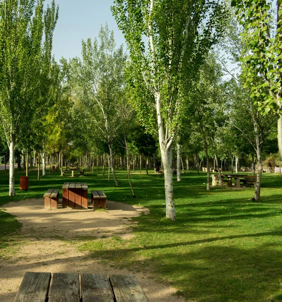 Parque Con Árboles Bancos Largo Orilla Del Río Otoño — Foto de Stock
