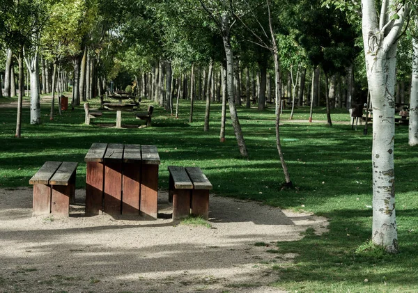 Parque Con Árboles Bancos Largo Orilla Del Río Otoño — Foto de Stock