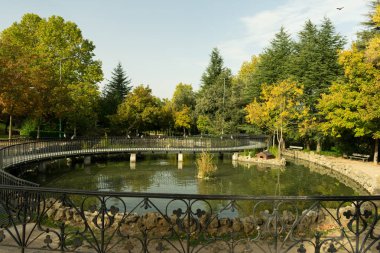 köprü korkuluk su ile parkta güvercin tünemiş
