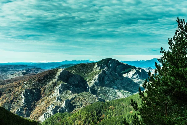 Güneşli Bir Gün Ormanda Fantastik Dağ Görünümünden — Stok fotoğraf