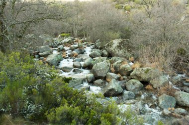 nehir yatağı dağ nehir taşları sonbaharın arasında azalan