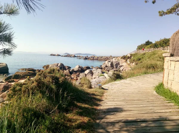 wooden path on the beach by the sea in summer time