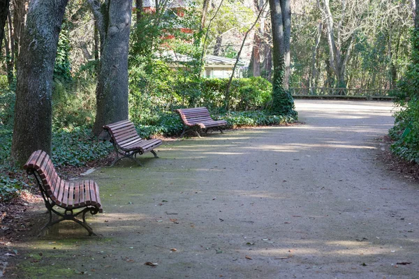 valladolid İspanya şehir parkında yürüyüş yolu