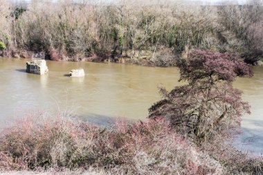 nehir kıyısında bitki örtüsü ile nehir