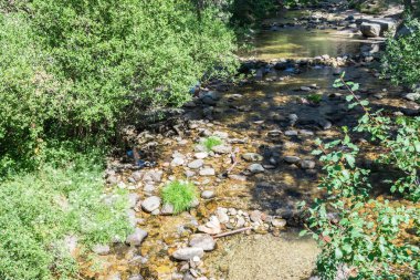 taşlar ve bitki örtüsü arasında dağ nehri