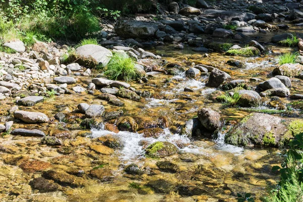 Hegyi folyó a kövek és a növényzet között — Stock Fotó