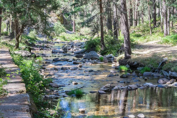 Rio de montanha entre pedras e vegetação — Fotografia de Stock