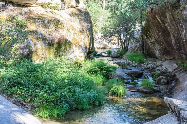 Río de montaña entre piedras y vegetación —  Fotos de Stock