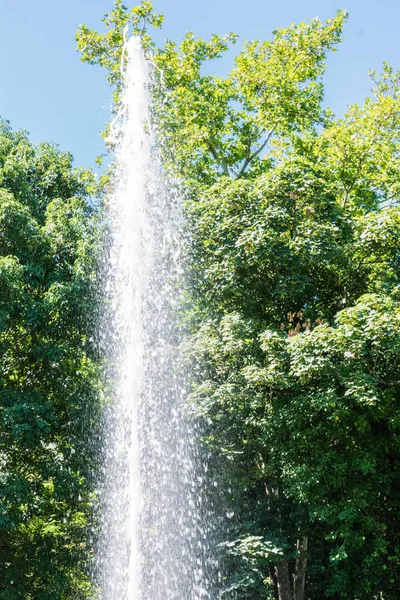 vertical jet of water in park lake