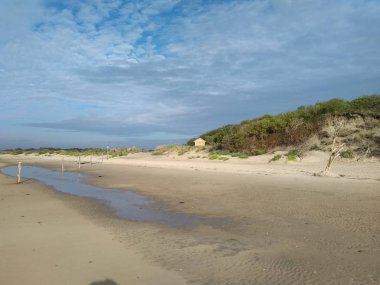 Langeoog - güzel bir manzara yaz