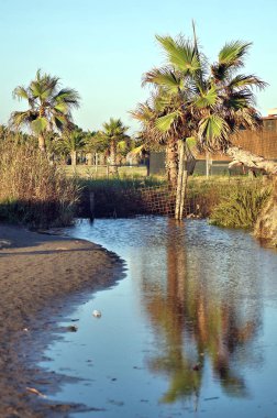 Sahil, yatay, avuç içi ve su yansımalar