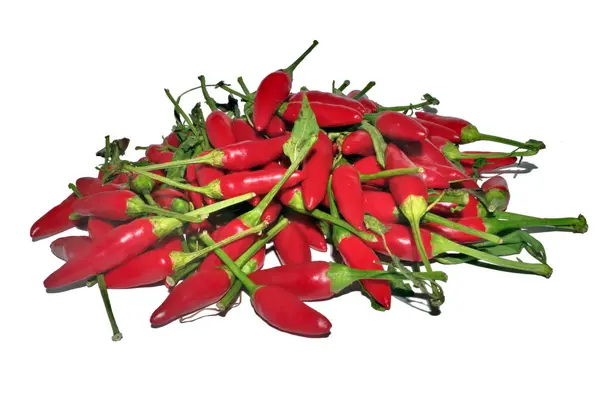 Wyświetlić Zbliżenie Garść Chilli — Zdjęcie stockowe