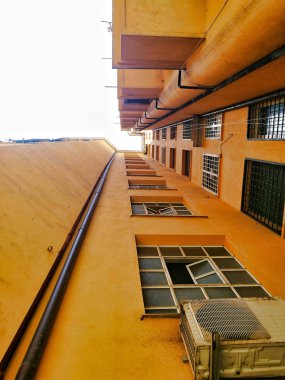 üzgün köpek portre görünümünü kapat