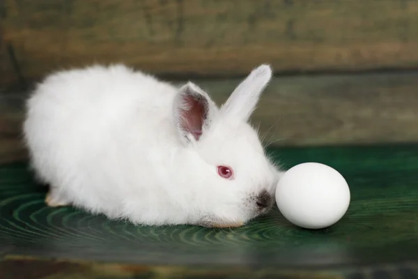 Easter Egg Konijn Een Houten Oppervlak Zijaanzicht — Stockfoto