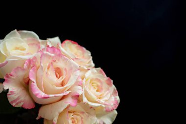 Siyah bir arka plan üzerinde beyaz ve pembe gül buketi ayarla