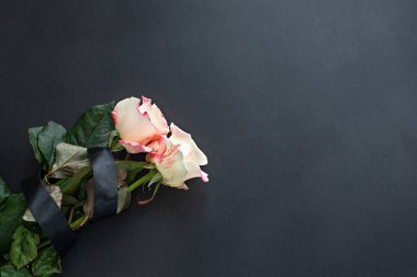 İki beyaz-pembe Gül siyah bir arka plan üzerinde siyah bir kaburga ile bağlı